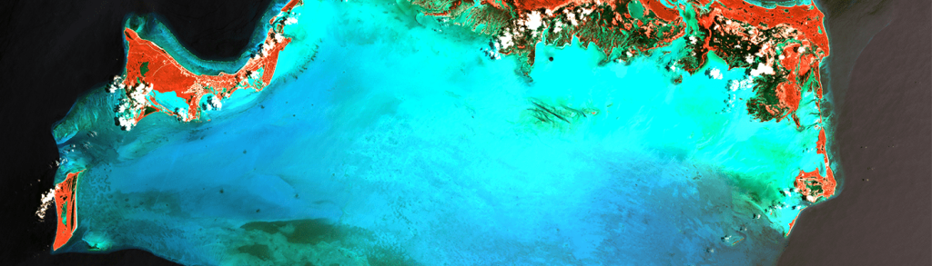 How brands can empower people to care about nature