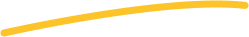 Vector